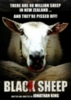 Black Sheep