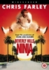 Beverly Hills Ninja
