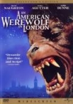 American Werewolf in London, An