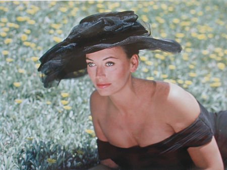 Lesley-Anne Down photo