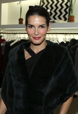 Angie Harmon photo