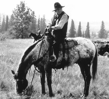 Gordon Tootoosis photo