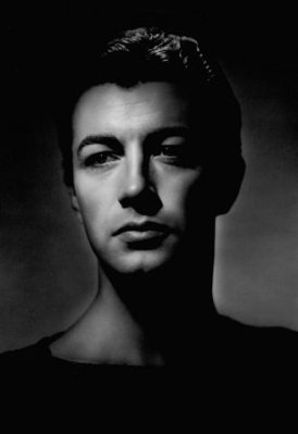 Robert Taylor photo