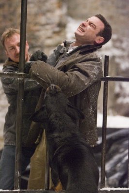 Liev Schreiber photo