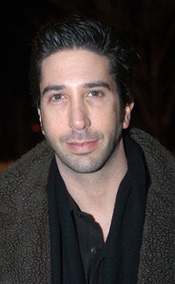 David Schwimmer photo