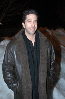 David Schwimmer photo