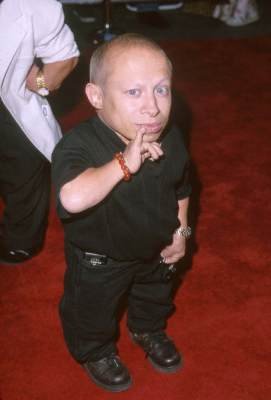 Verne Troyer photo