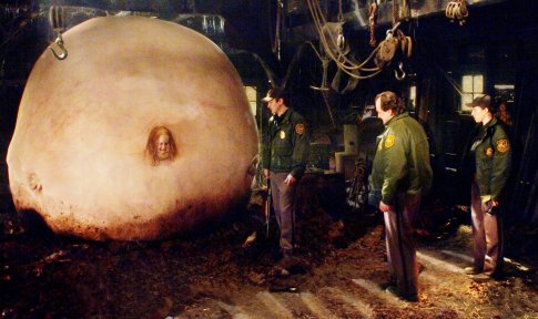 Nathan Fillion photo