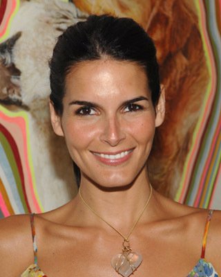 Angie Harmon photo