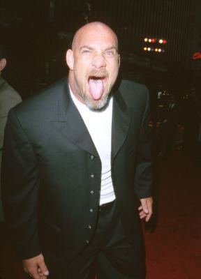 Bill Goldberg photo