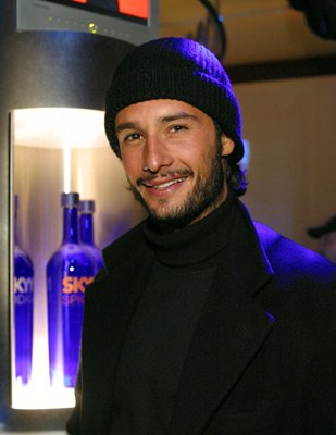 Rodrigo Santoro photo
