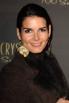 Angie Harmon photo