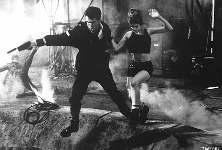 Denise Richards photo