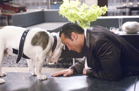 Dwayne Johnson photo