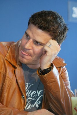David Boreanaz photo
