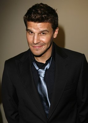 David Boreanaz photo
