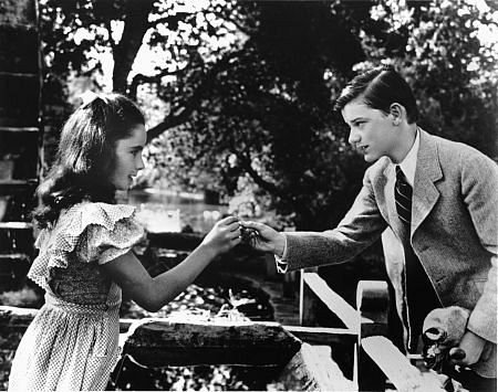 Roddy McDowall photo