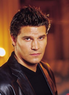 David Boreanaz photo
