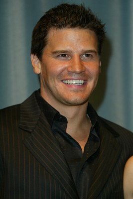 David Boreanaz photo
