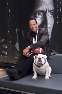 Dwayne Johnson photo