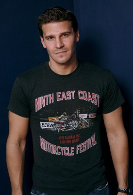 David Boreanaz photo