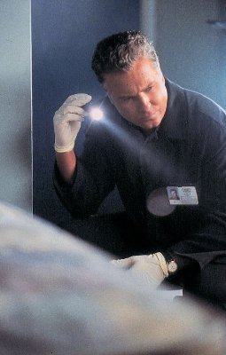 William Petersen photo