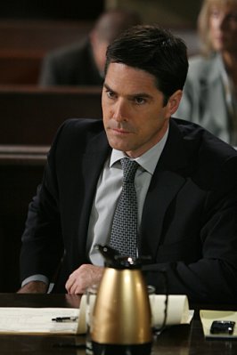 Thomas Gibson photo