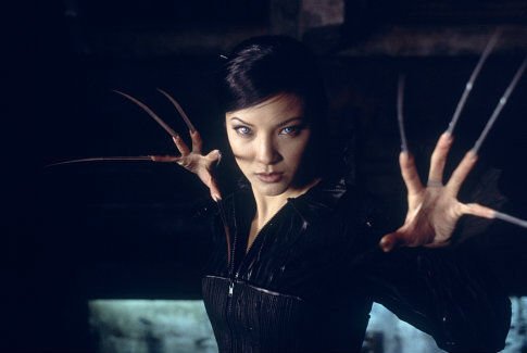 Kelly Hu photo