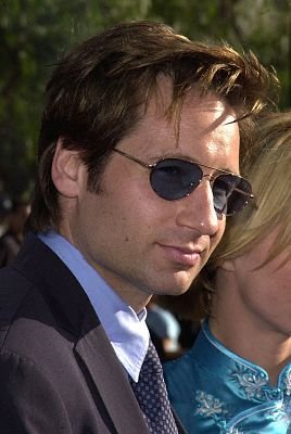 David Duchovny photo