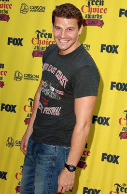 David Boreanaz photo