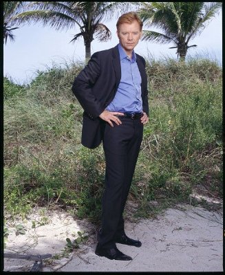 David Caruso photo