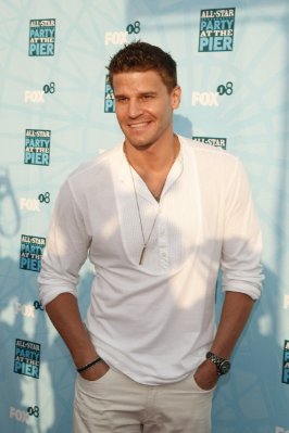 David Boreanaz photo