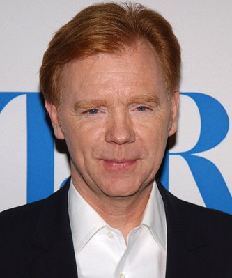 David Caruso photo