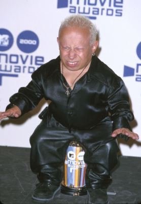 Verne Troyer photo