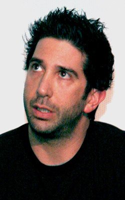 David Schwimmer photo