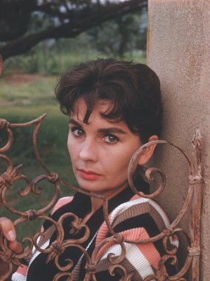 Jean Simmons photo