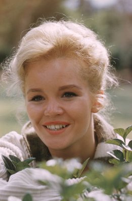 Tuesday Weld photo