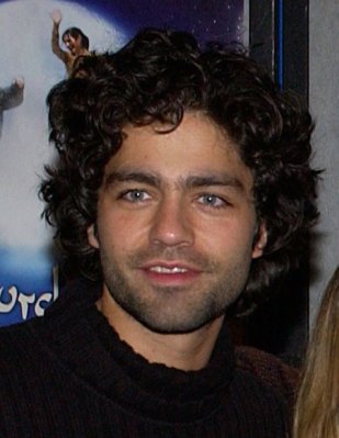 Adrian Grenier photo