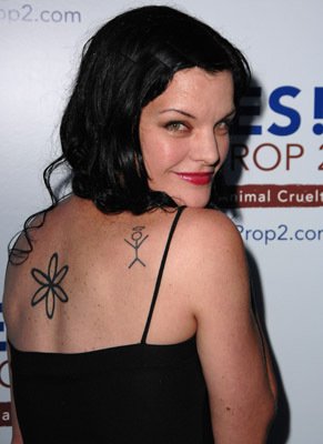 Pauley Perrette photo