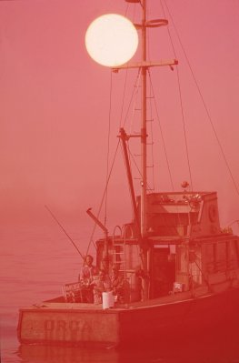 Richard Dreyfuss photo