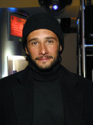 Rodrigo Santoro photo
