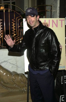 David Schwimmer photo