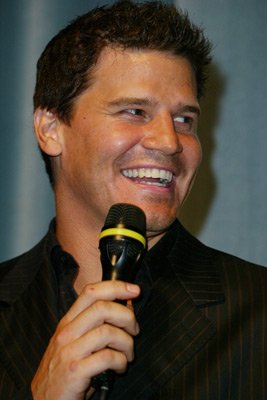 David Boreanaz photo