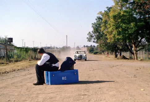 Nicholas Hoult photo