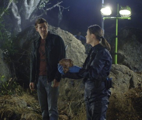 David Boreanaz photo