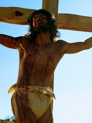 Stephen Wozniak photo