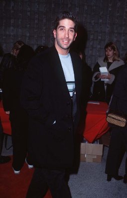 David Schwimmer photo