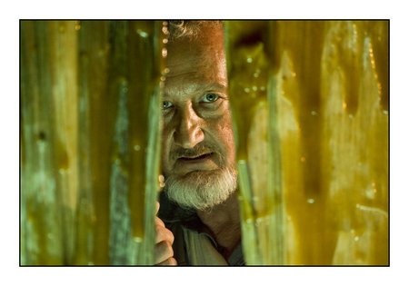 Robert Englund photo