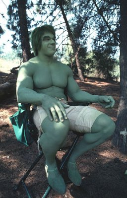 Lou Ferrigno photo