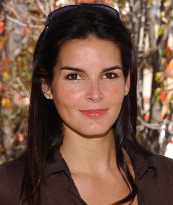 Angie Harmon photo